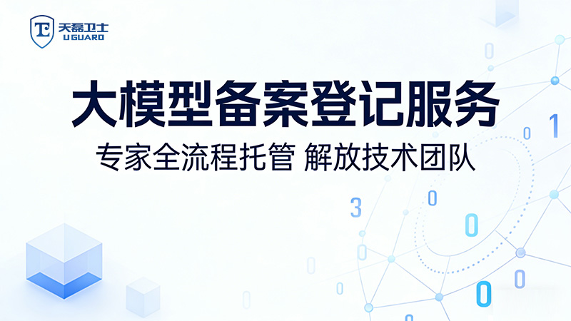 天磊卫士大模型服务 (141).jpg