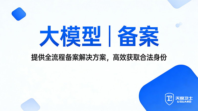 天磊卫士大模型服务 (139).jpg